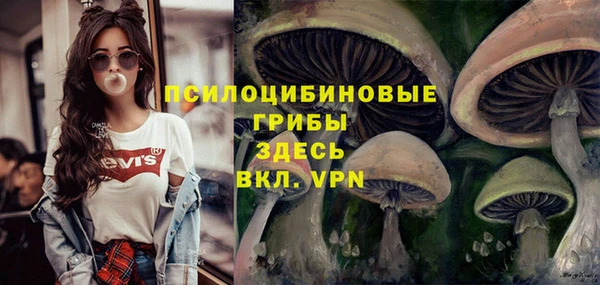 гидропоника Балабаново