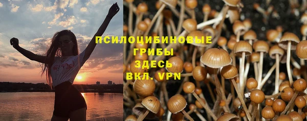 гидропоника Балабаново