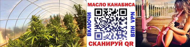 где можно купить наркотик  ссылка на мегу вход  ТГК THC oil  Железноводск 