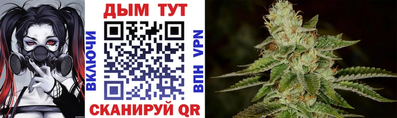 сколько стоит Железноводск Конопля OG Kush